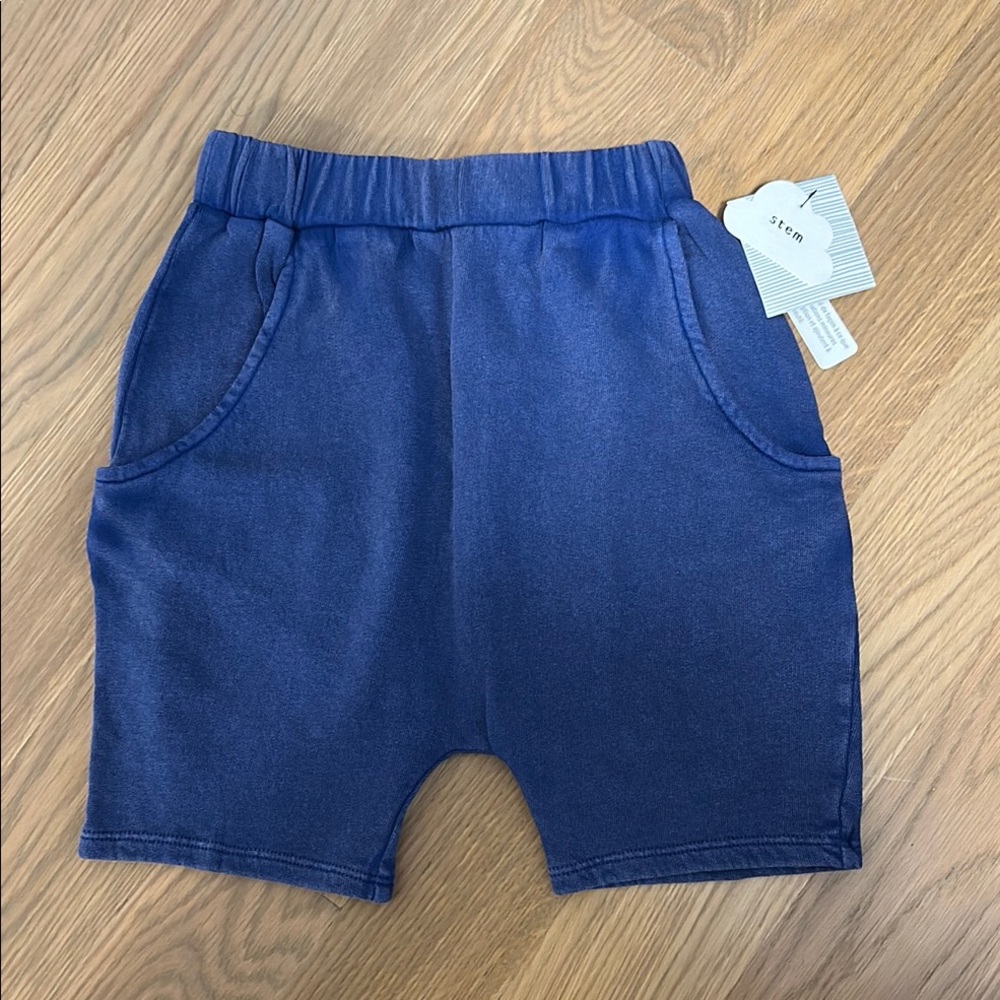 NWT Stem Blue Shorts with Pockets